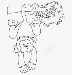 抠鼻的猴子猴子爬树高清图片