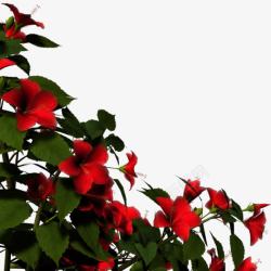 卡通红色花卉绿叶前景装饰素材