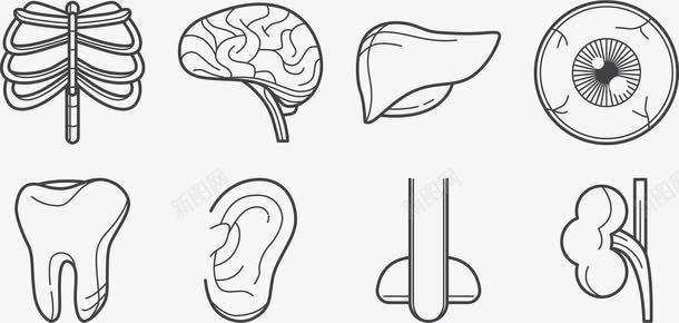 卡通可爱图人体器官图标图标