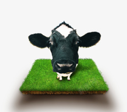 牛奶广告设计平面牧场奶牛源文件高清图片