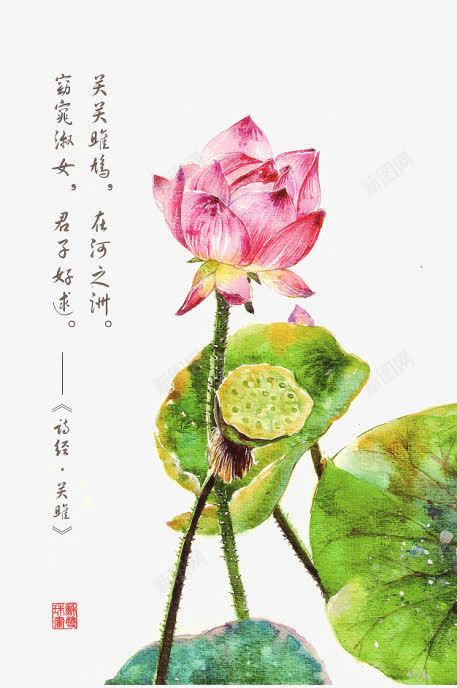 诗经花朵插画配图png免抠素材_88icon https://88icon.com 卡通 卡通插画 古风 唯美 手绘 花卉 诗歌 诗经 诗词