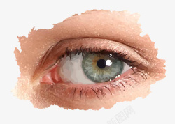 欧美瞳孔素材库女人眼睛插画矢量图高清图片