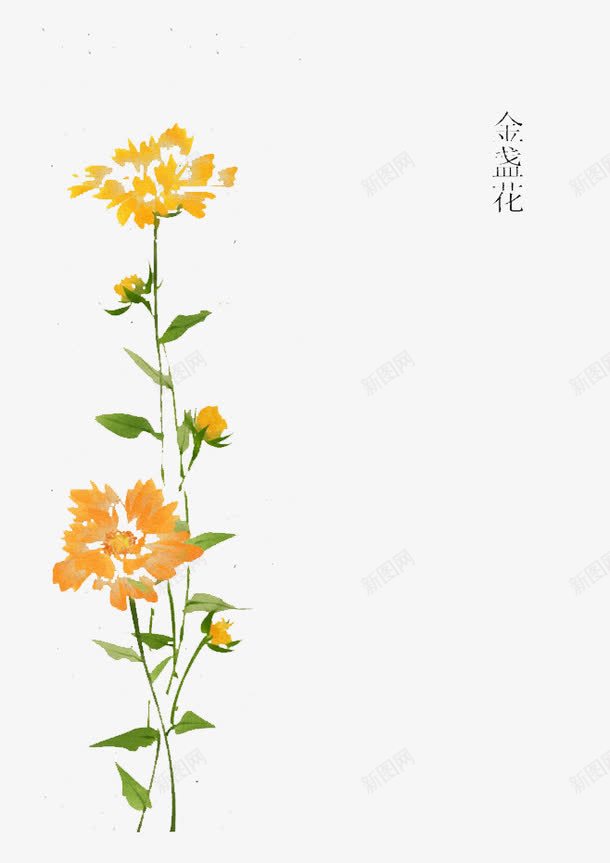 手绘金盏花png免抠素材_88icon https://88icon.com 手绘 植物背景 橙色 绿叶 金盏花