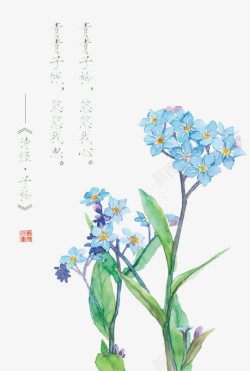 诗经花朵插画配图素材