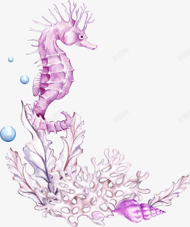 紫色海马png免抠素材_88icon https://88icon.com 一个 卡通 手绘 水泡 海马 珊瑚 简图 贝壳