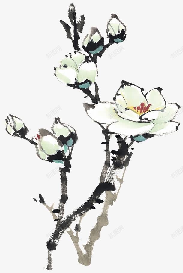 国风手绘木棉花png免抠素材_88icon https://88icon.com 富贵的 手绘的 木棉花 木棉花手绘 木棉花树 漂亮的 白色的 装饰花朵
