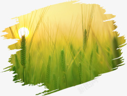 绿色矢量麦穗一抹笔刷风景高清图片