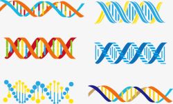 dna示意图DNA示意图高清图片