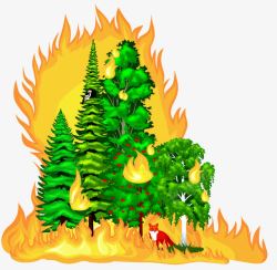 森林失火小树林着火高清图片