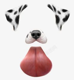 斑点狗狗耳朵鼻子舌头照片修饰素材
