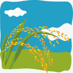 种植水稻插画稻田高清图片