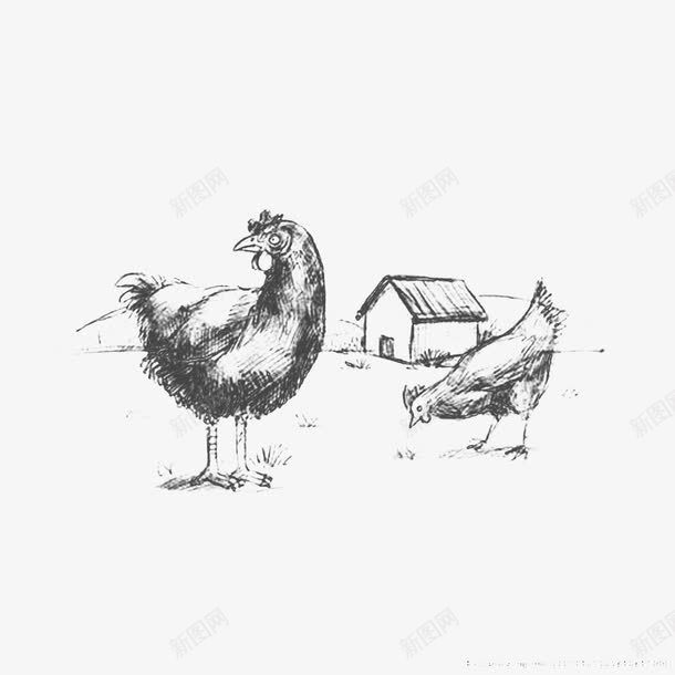 素描手绘牧场小鸡png免抠素材_88icon https://88icon.com PNG素材 公鸡 养鸡场 农场 小鸡 手绘 手绘牧场 牧场 绘画 鸡