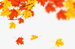 秋树秋季缤纷落叶矢量图高清图片