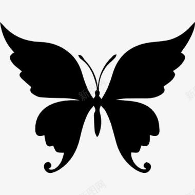 蝴蝶美丽的形状图标图标