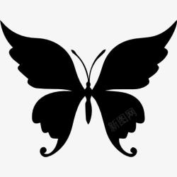 轮廓形状蝴蝶美丽的形状图标高清图片