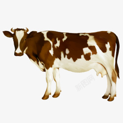 卡通农场奶牛动物矢量图素材