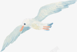 卡通飞禽手绘飞翔的海鸥高清图片
