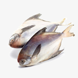 舟山鲳鱼素材