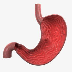 身体肠胃肠胃疾病立体插画高清图片