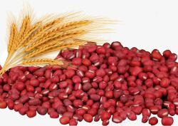 红豆五谷杂粮麦子豆子健康养生豆素材