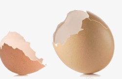水晶破碎鸡蛋破碎的鸡蛋壳高清图片