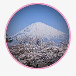 浪漫粉色日本旅游海报素材