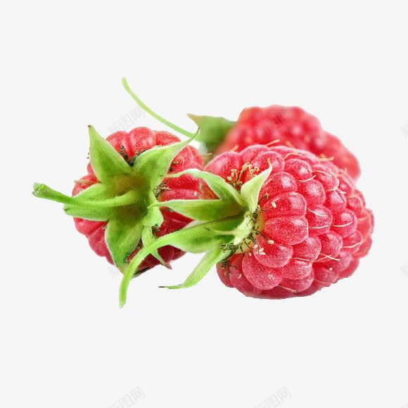 树莓png免抠素材_88icon https://88icon.com 产品实物 好吃 树莓 水果 红色水果 美味 覆盆子