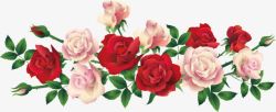 玫瑰花与丝绸背景图片花朵红色粉红色玫瑰花片高清图片