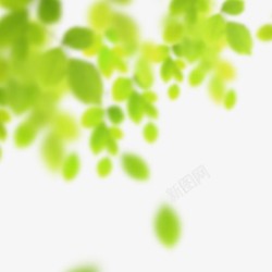 高斯模糊绿色植物树叶素材