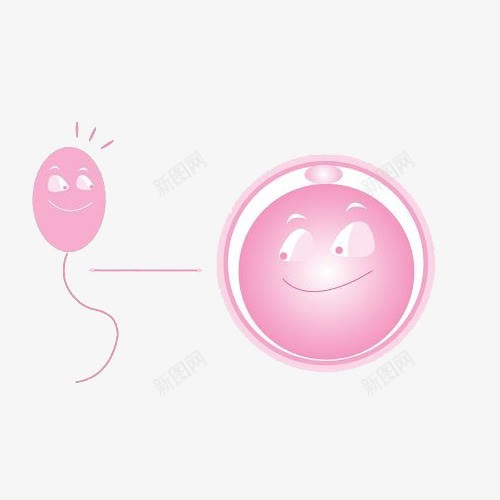 精子与卵子png免抠素材_88icon https://88icon.com 孕妇 小宝宝 生小孩子 精子与卵子 肚子 胎儿 胚胎 高清免扣素材