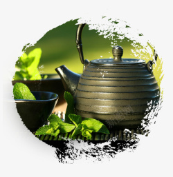 精美的谷雨茶茶壶素材