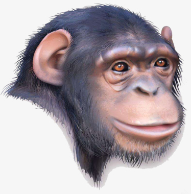 猿人图标 猿人icon 猿人矢量图标 icon