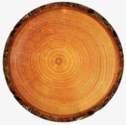 木头截面深棕色圆形木头截面实物高清图片