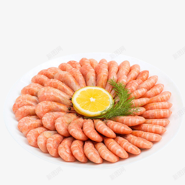 来自加拿大的北极虾png免抠素材_88icon https://88icon.com 北极虾 海鲜 虾 食物