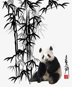 精髓竹子与熊高清图片