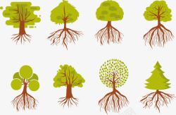 植物根系植物根系介绍高清图片