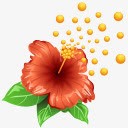 花粉花植物天气png免抠素材_88icon https://88icon.com flower plant pollen 植物 花 花粉