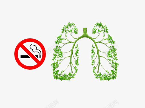 矢量烟务绿色树叶的肺部结构图图标图标