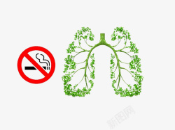 禁烟广告绿色树叶的肺部结构图图标高清图片
