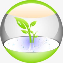 玻璃球水培植物发芽素材
