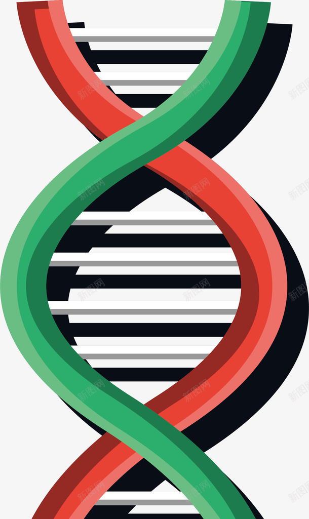 红绿色双螺旋结构png免抠素材_88icon https://88icon.com DNA 分子结构 双螺旋 双螺旋结构 矢量png 红绿色