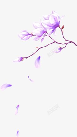 紫色唯美花朵装饰图案素材