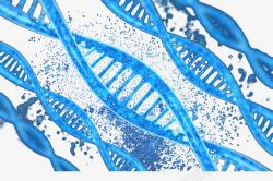 蓝色DNA分子素材