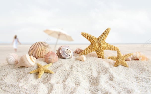 白白的沙滩海星太阳伞背景