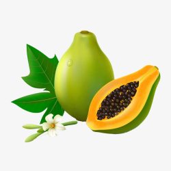 花朵和木瓜素材