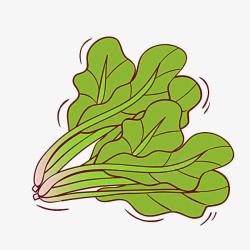 健康大自然菠菜插画高清图片