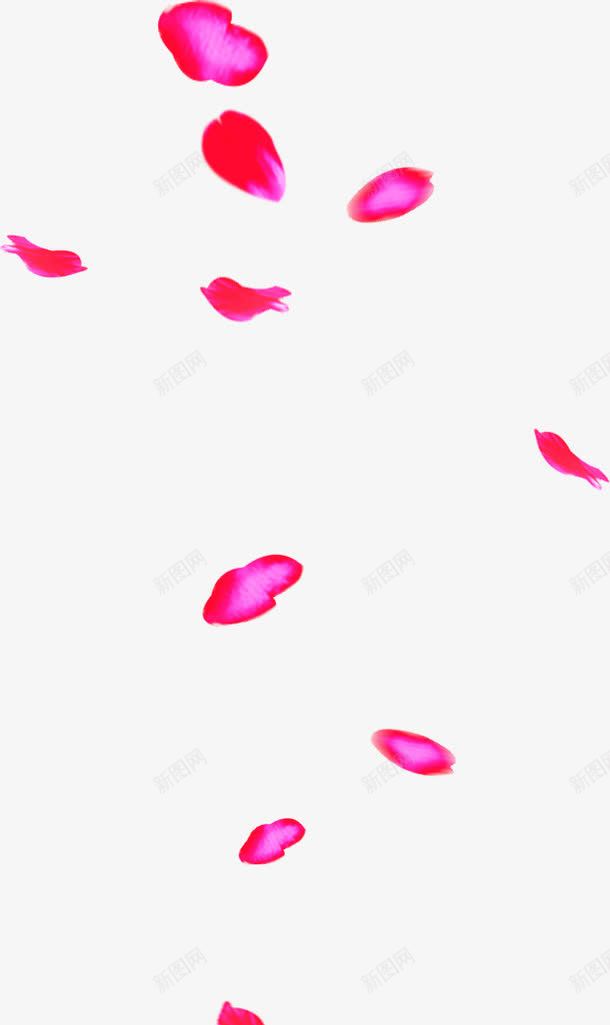 飘零粉色玫瑰花瓣png免抠素材_88icon https://88icon.com 玫瑰 粉色 花瓣 飘零