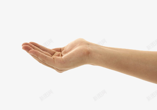 手掌微微弯曲的手势图png免抠素材_88icon https://88icon.com 人手 免扣 商务图 实物 弯曲 手势 手指方向 手掌 手掌托举 托举 背景图 高清