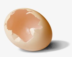 鸡蛋实拍破壳的鸡蛋高清图片
