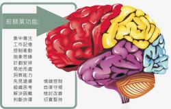 专注品质专注力分析高清图片